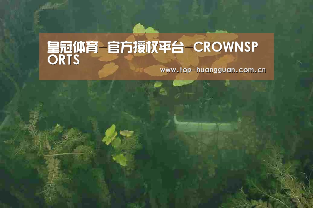 案例展示三(图1)