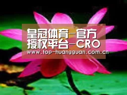 产品名称五