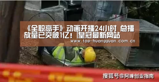 《全职高手》动画开播24小时 总播放量已突破1亿!|皇冠最新网站(图2) 皇冠网